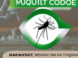 Kod rabatowy Mosquito